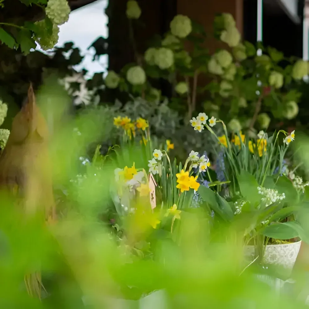 fleuriste (2)